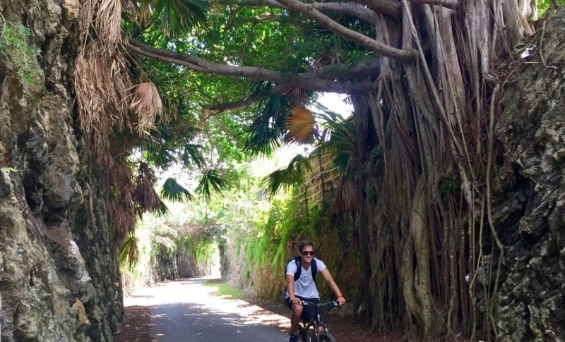 Bike the Railway Trail