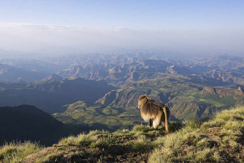 Simien Mountains, Ethiopia