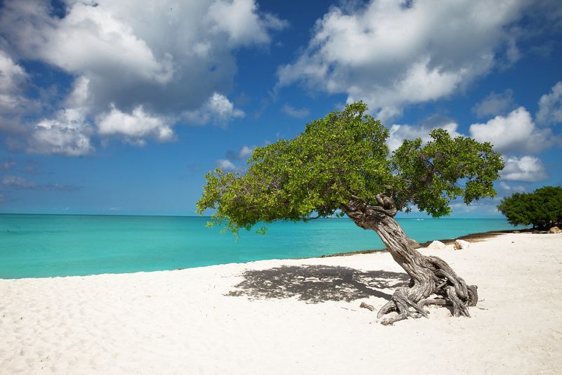 Eagle Beach, Aruba