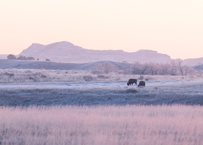 Theodore Roosevelt National Park Instead of Badlands