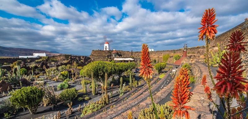 Jardín de Cactus – Lanzarote, Canary Islands