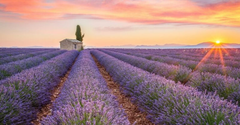 Plan A Trip In June With These 22 Incredible Destinations