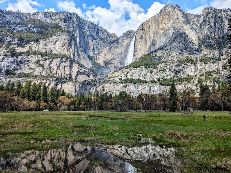 Yosemite's Entry Reservation System