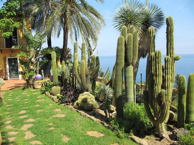 Jardins de Mossèn Costa i Llobera