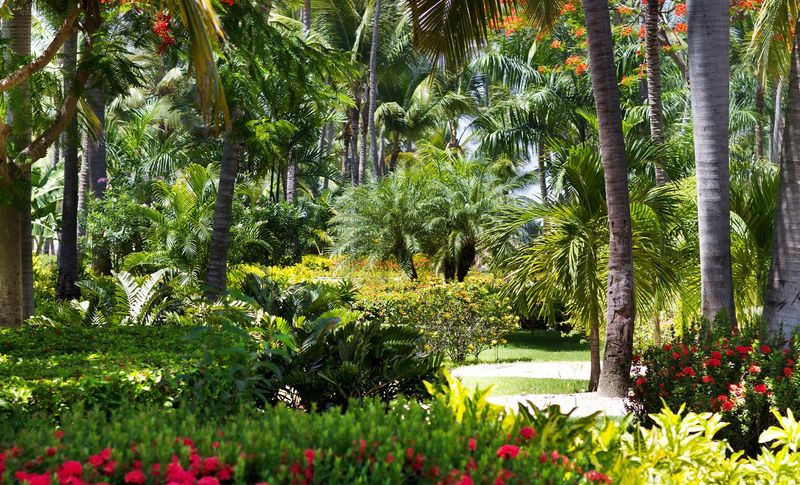 Garden of the Groves