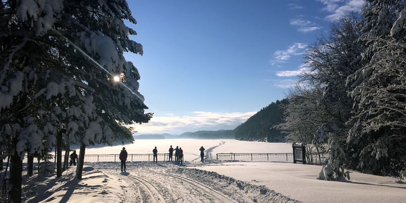Oslo, Norway: The Forest Capital