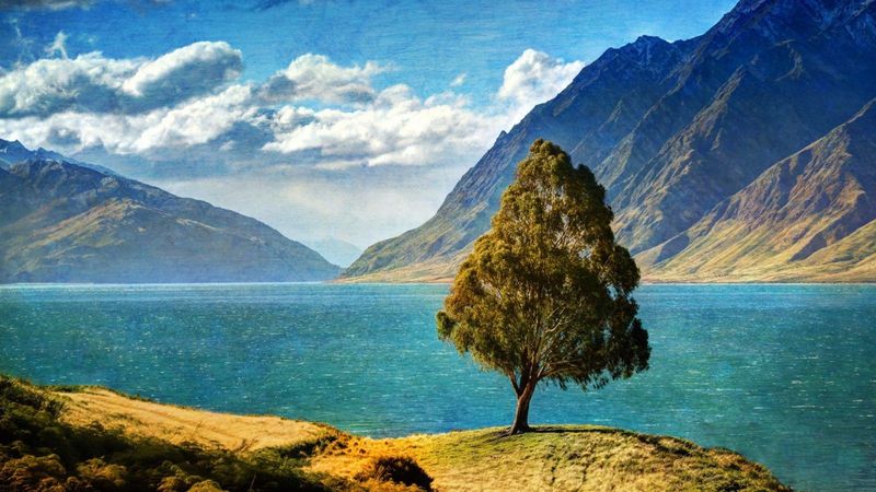 New Zealand