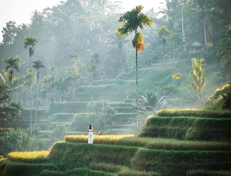 Bali's Spiritual Adventure