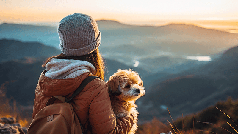 The Mini Habits That Helped Me Feel Grounded In New Places