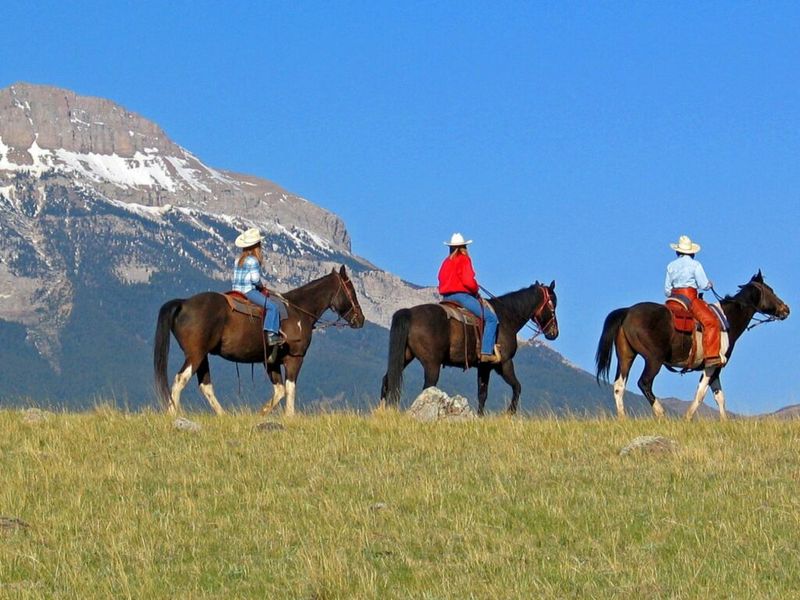 Working Ranch Stays in Montana