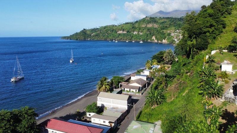 Saint Vincent's Unexpected Challenges