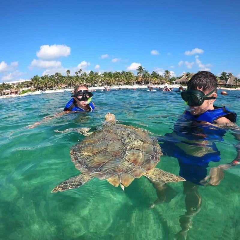 Akumal Bay Snorkeling