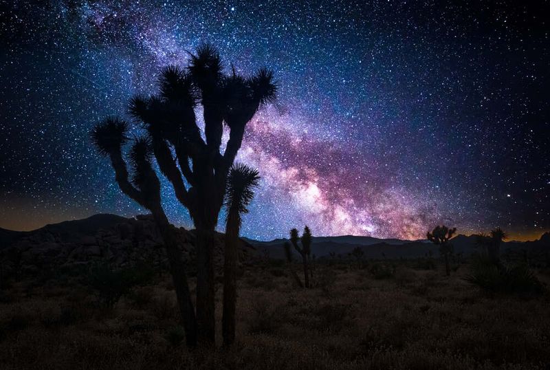 Joshua Tree, California