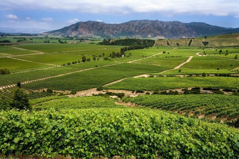 Colchagua Valley, Chile