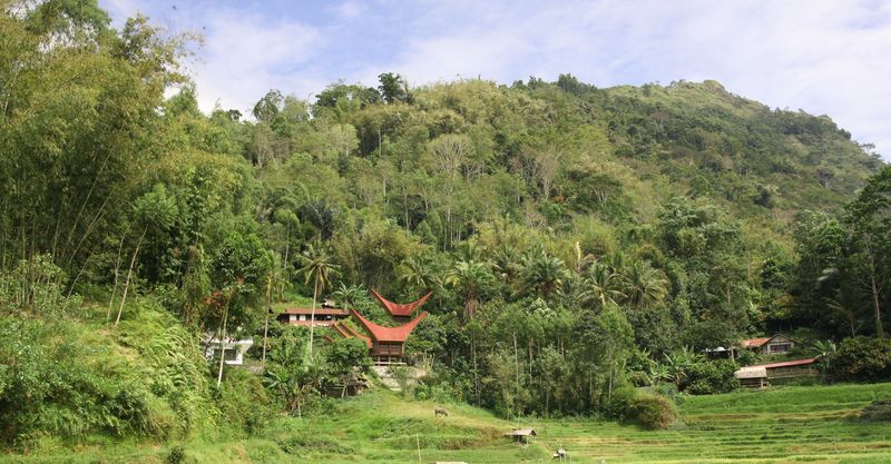 Eco Projects in Papua New Guinea