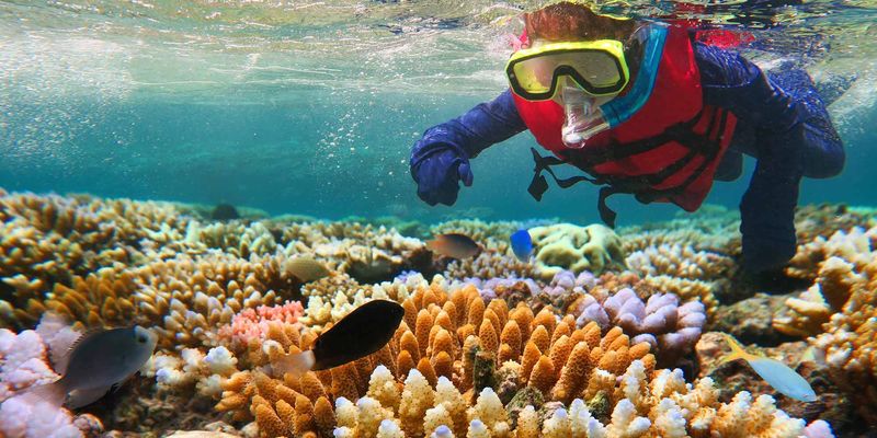 Great Barrier Reef, Australia: Underwater Wonderland