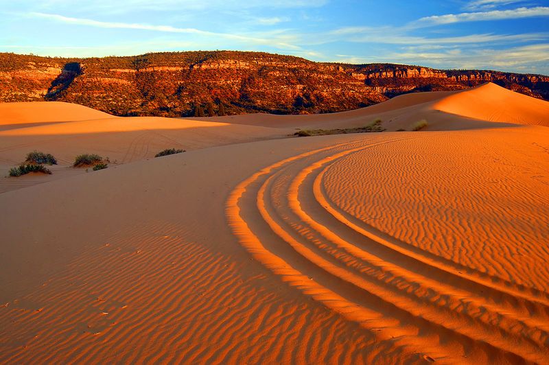 Coral Pink Sand Dunes State Park