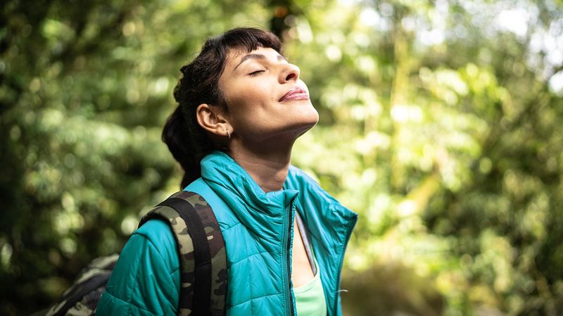 Immune System Strengthens