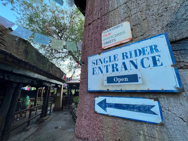 Use Single Rider Lines When Available