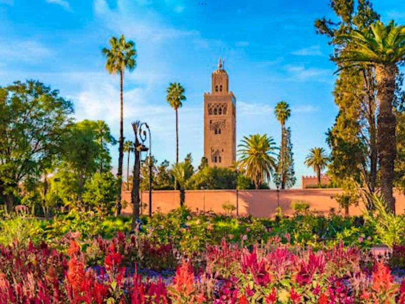 Marrakech's Harassment Maze