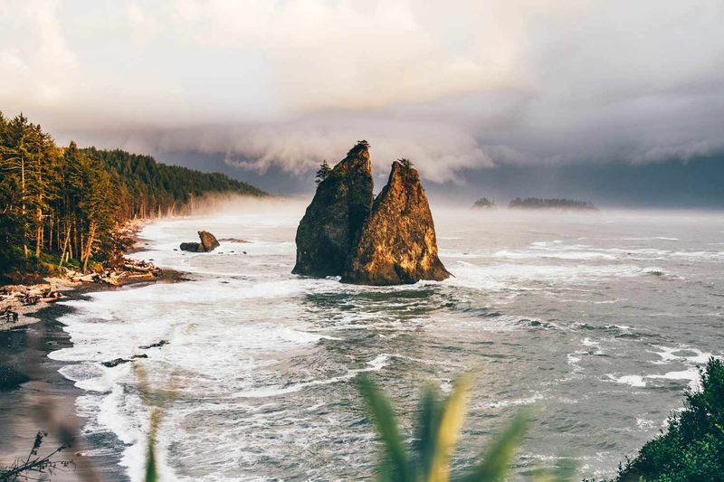Olympic: Rogue Waves and Dense Wilderness