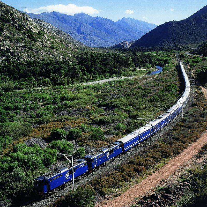 Wildlife sightings in South Africa