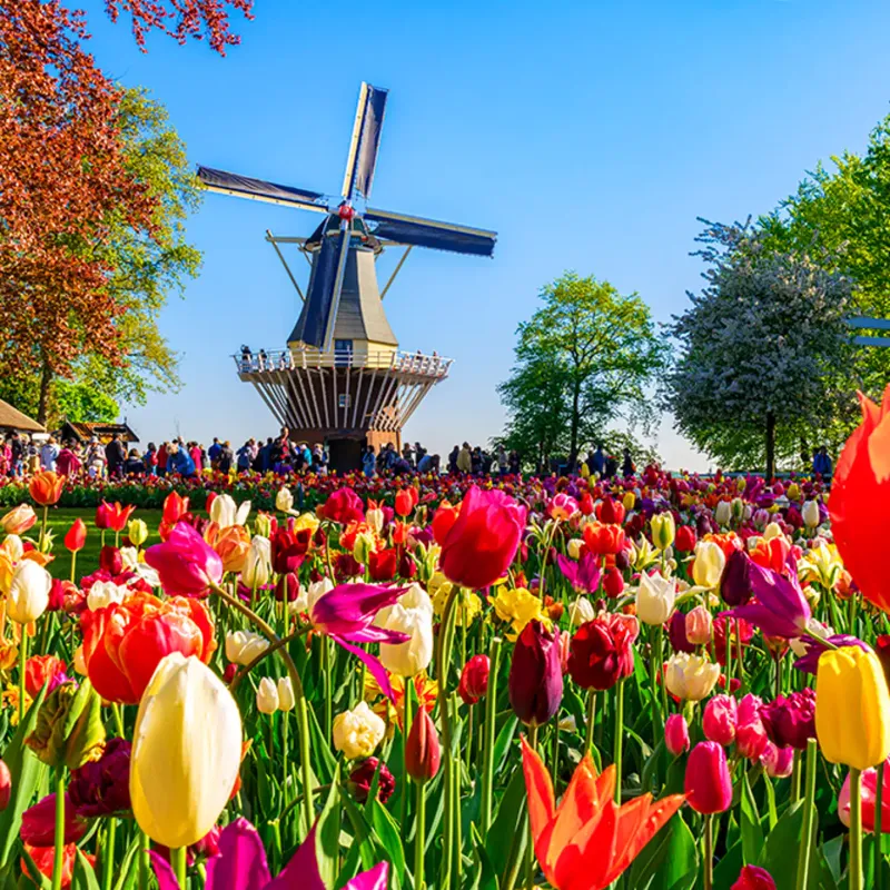 Keukenhof Gardens, Netherlands