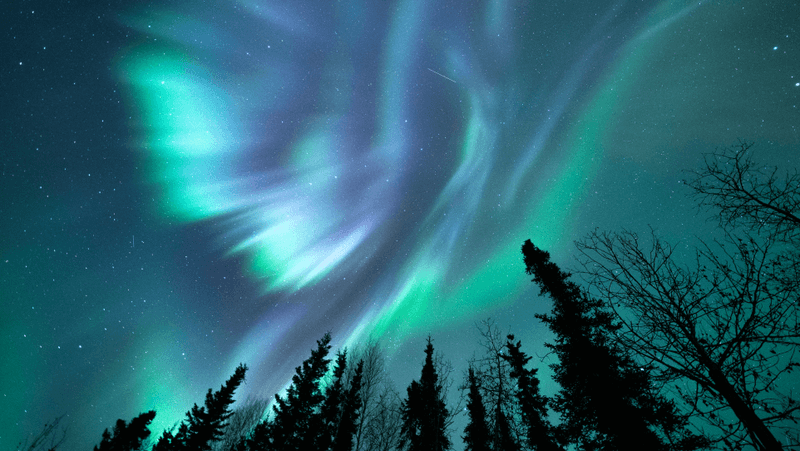 The Northern Lights in Fairbanks