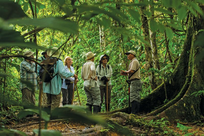 Amazon Jungle Expedition