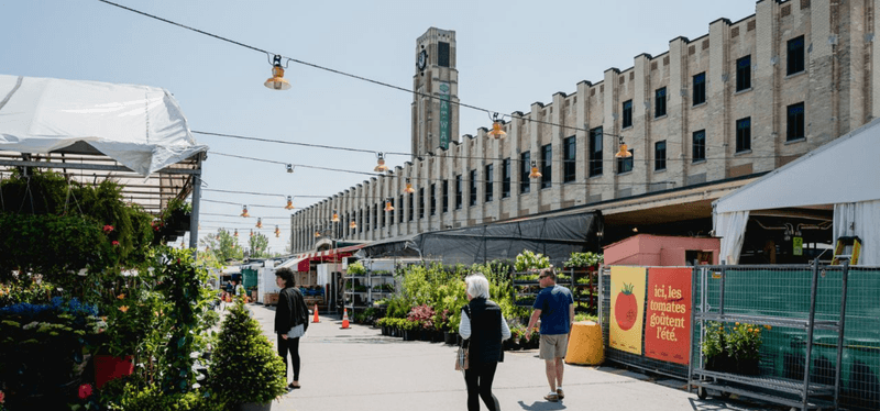 Atwater Market Buzz
