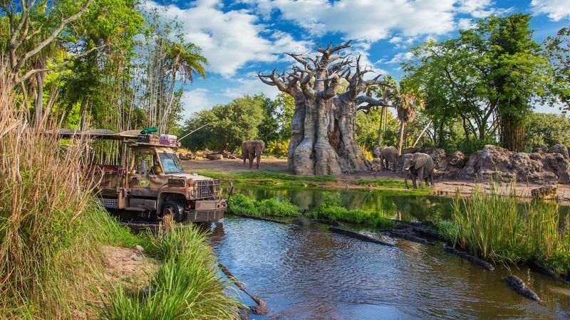 Disney's Animal Kingdom – Orlando, Florida