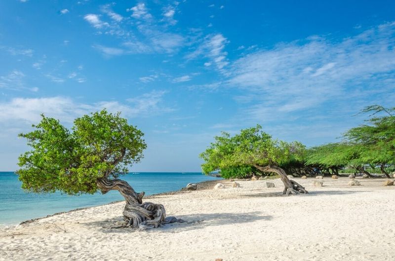 Aruba