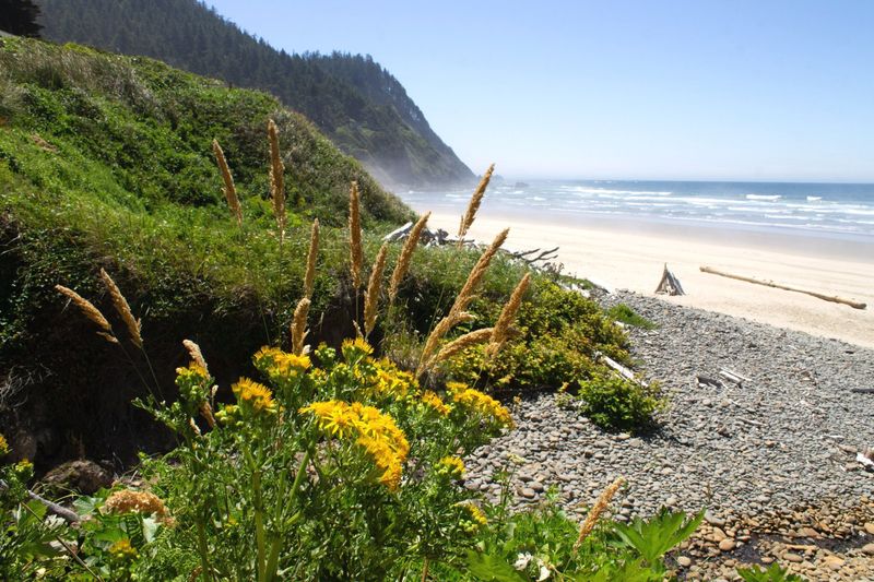 Quiet Cove Beach