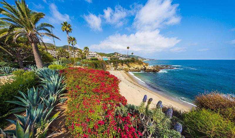 Laguna Beach's Artistic Shoreline