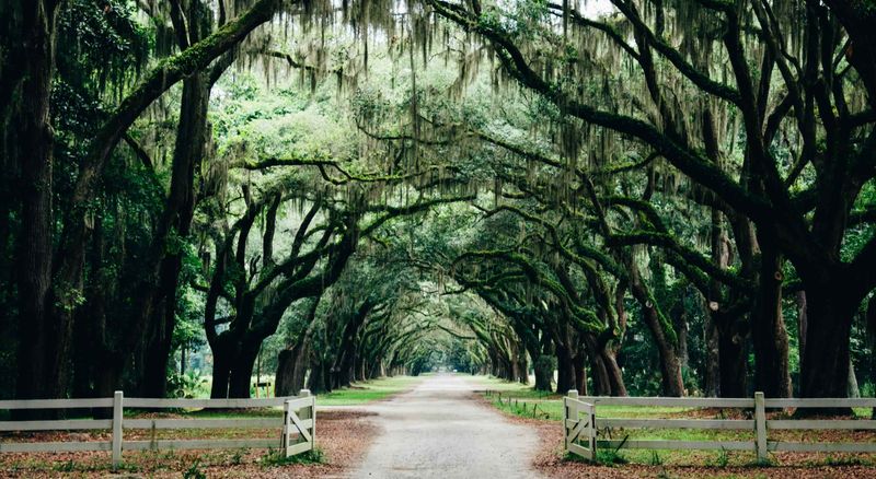 Savannah's Historic Hideaway