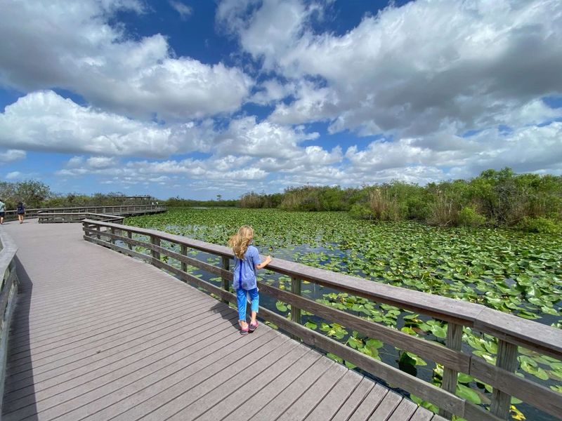 Florida's Everglades Eco-Adventure