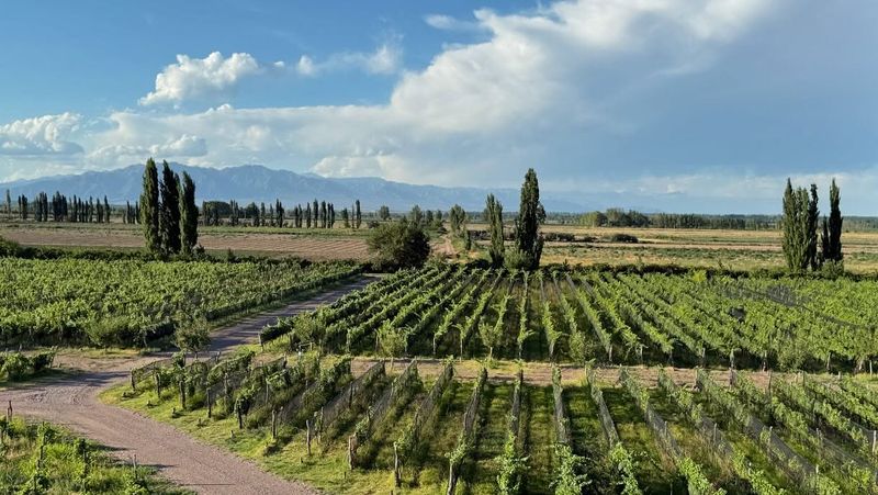 Mendoza, Argentina