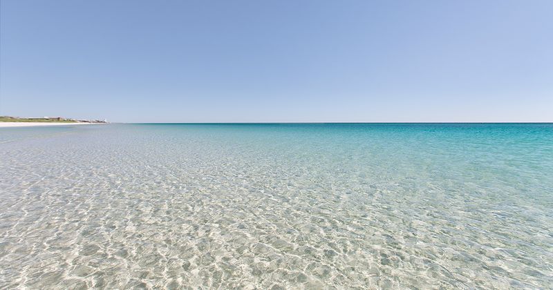 Water Clarity And Color