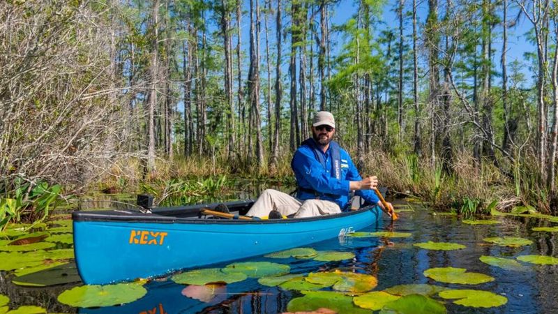 Okefenokee Swamp, Georgia