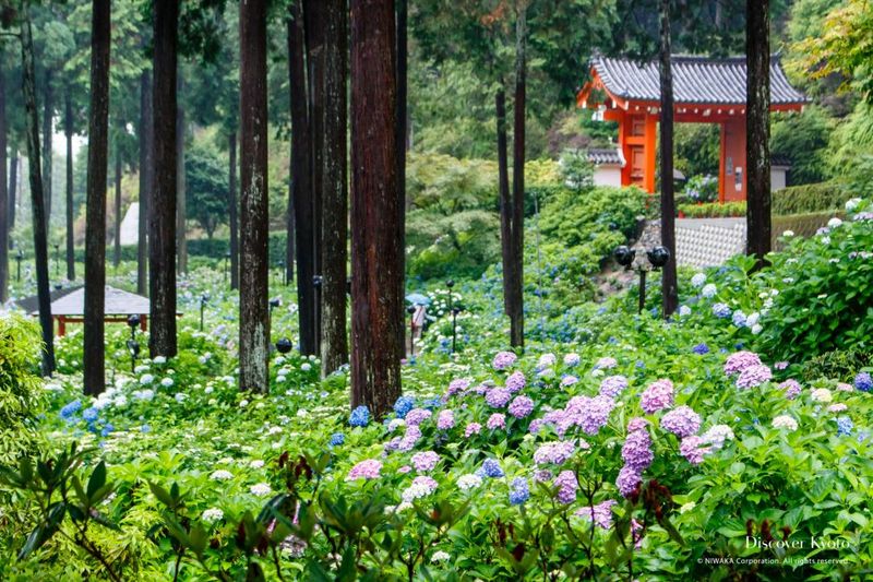 Kyoto, Japan