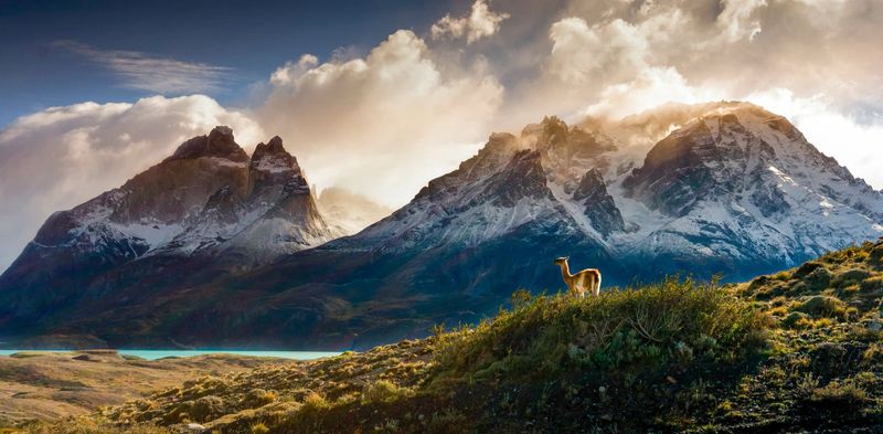 Patagonia, Chile: Wild Frontiers at the End of the Earth