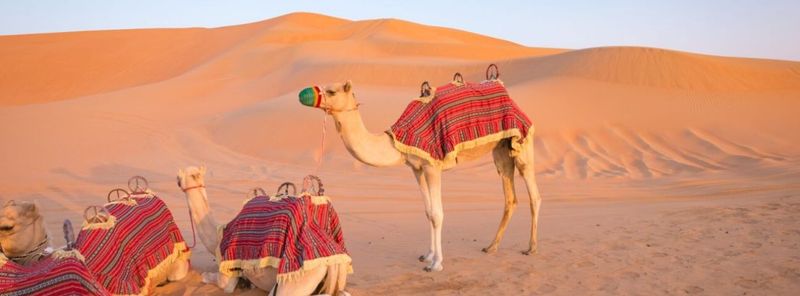 Dubai Desert Safari
