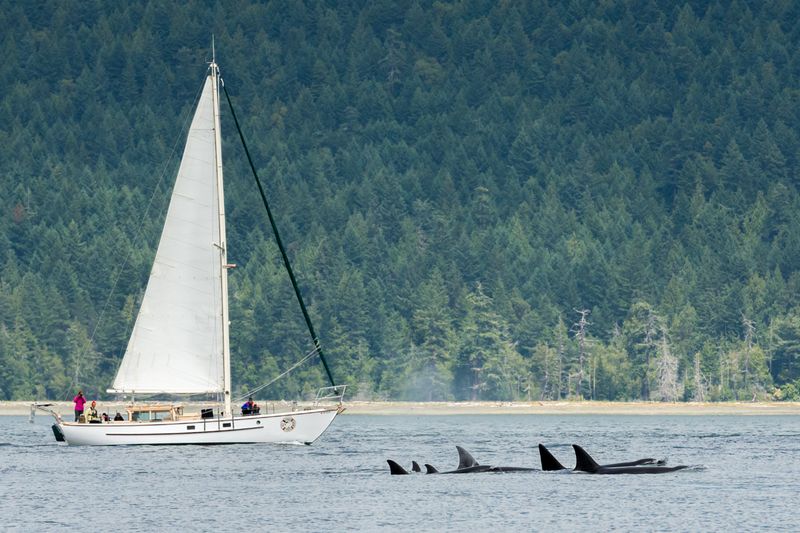 San Juan Islands, Washington State