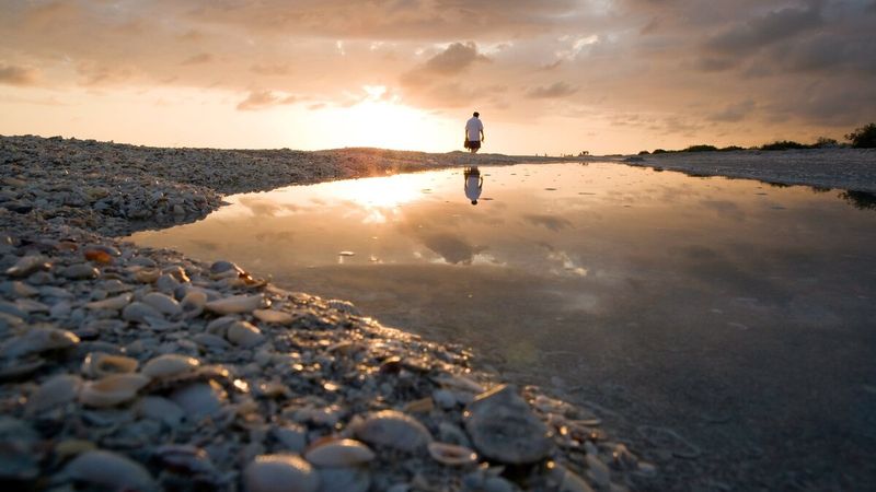 Tampa Bay Buccaneers – Sanibel Island, FL