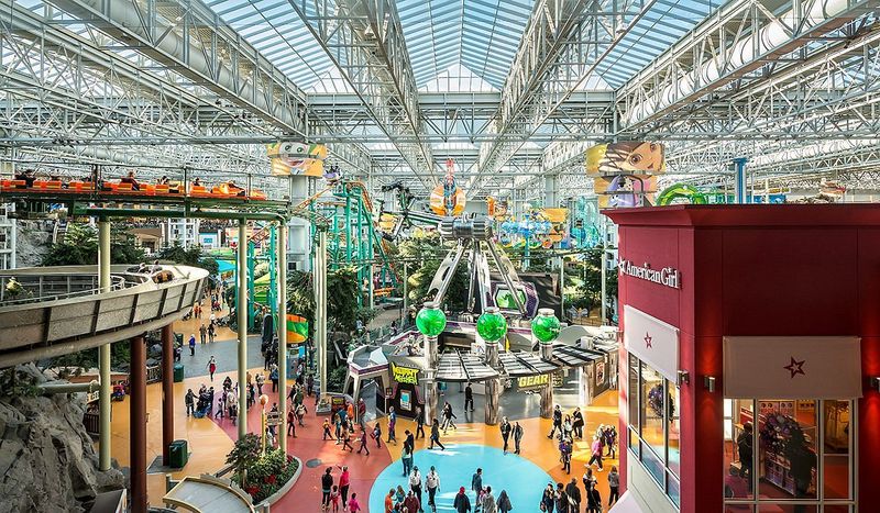 The Mall of America: Shopping Spectacle Worth Seeing