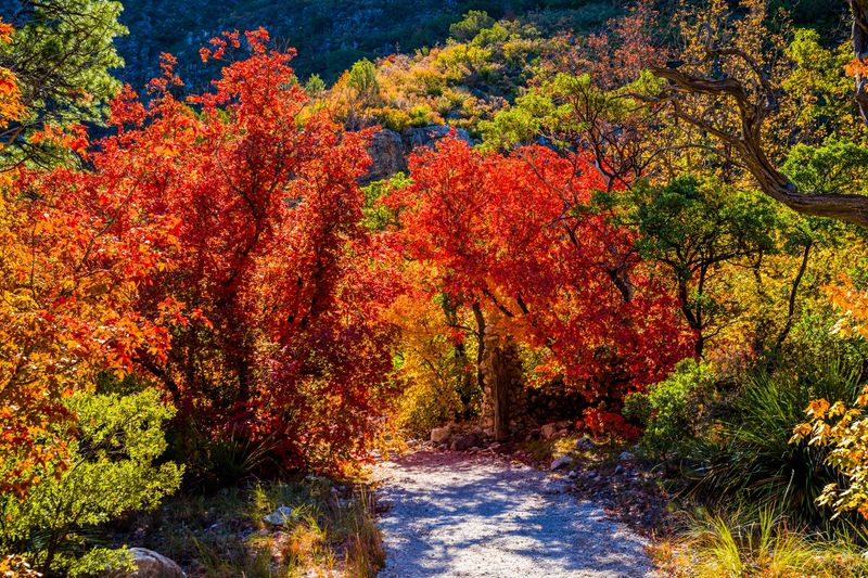 Underrated National Parks