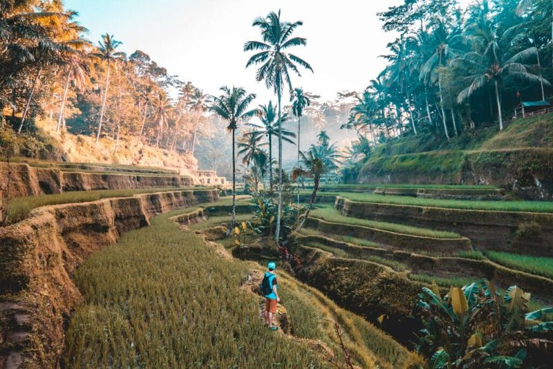 Carbon-Conscious Travel