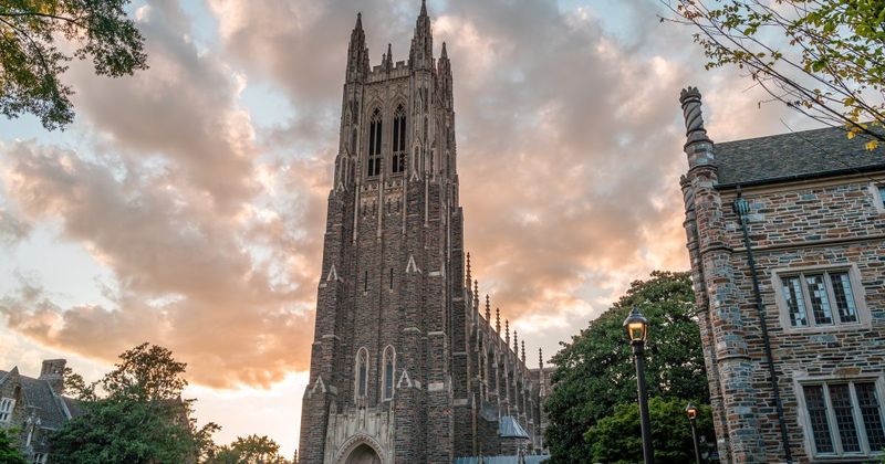 Duke's Gothic Wonderland