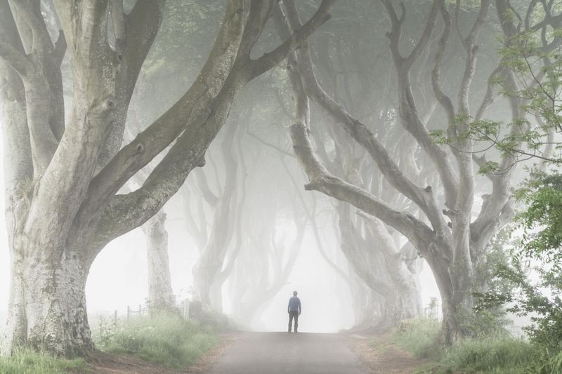 The Dark Hedges – Northern Ireland