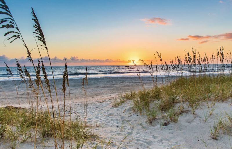 Amelia Island